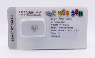 Certifikovaný přírodní diamant 1.01 ct