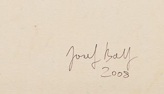 Bolf Josef (1971 - ) - Klidný večer