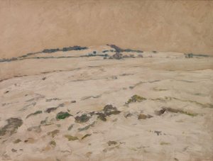 František Kaván (1866 - 1941) - Únor vládne