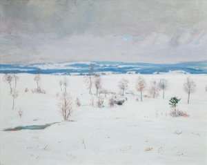 František Kaván (1866 - 1941) - Zima u Vítanova - soupis díla (kat. č. 1202)
