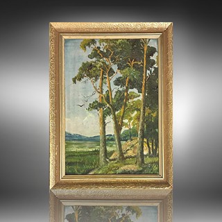 Gustav Macoun (1889 - 1934) - Borovice