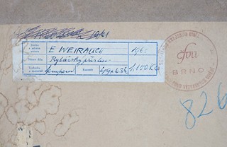 Emil Weirauch (1909 - 1976) - Rybářský přístav