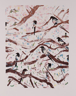 Kateřina Ondrušková (1991-) - Ptáčci