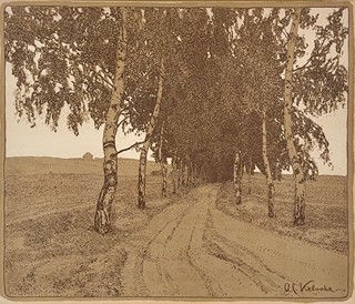 Alois Kalvoda (1875 - 1934) - Březová alej
