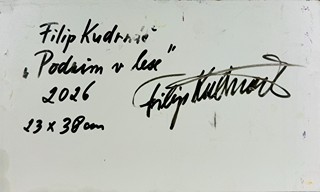 Filip Kudrnáč (1975) - Podzim v lese