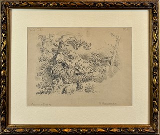 Roman Havelka (1877 - 1950) - Studie přírody