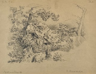 Roman Havelka (1877 - 1950) - Studie přírody