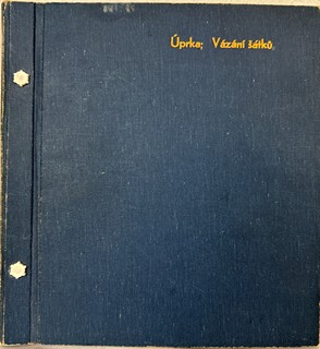 Joža Uprka (1861 - 1940) - Hlava Slovačky z Petrova