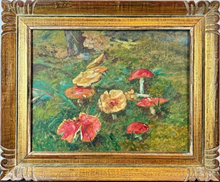 František Kaván (1866 - 1941) - Houby