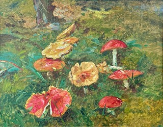 František Kaván (1866 - 1941) - Houby