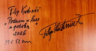 Filip Kudrnáč (1975) - Podzim v lese u potoka