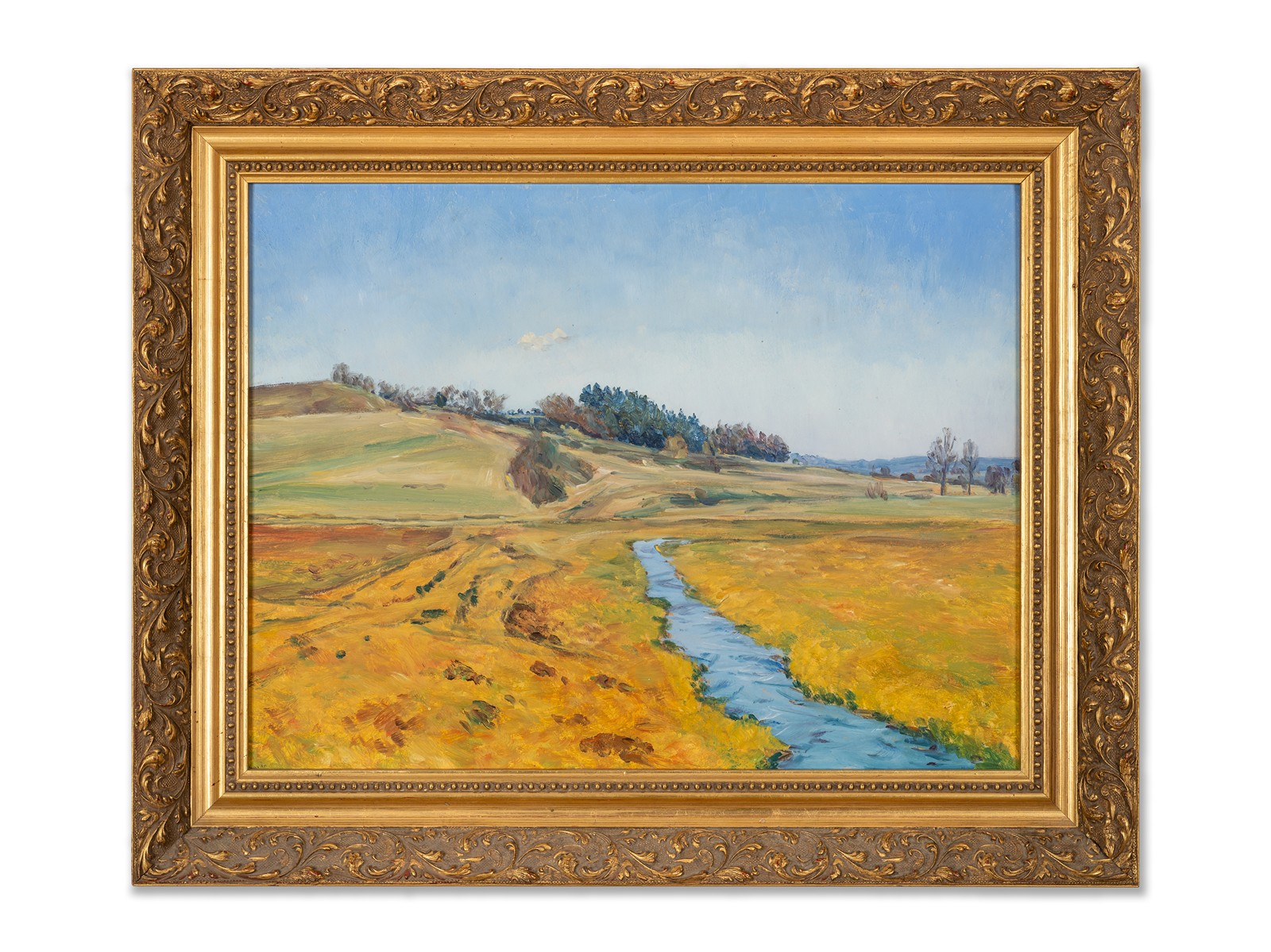 František Kaván (1866 - 1941) - Potok v lukách