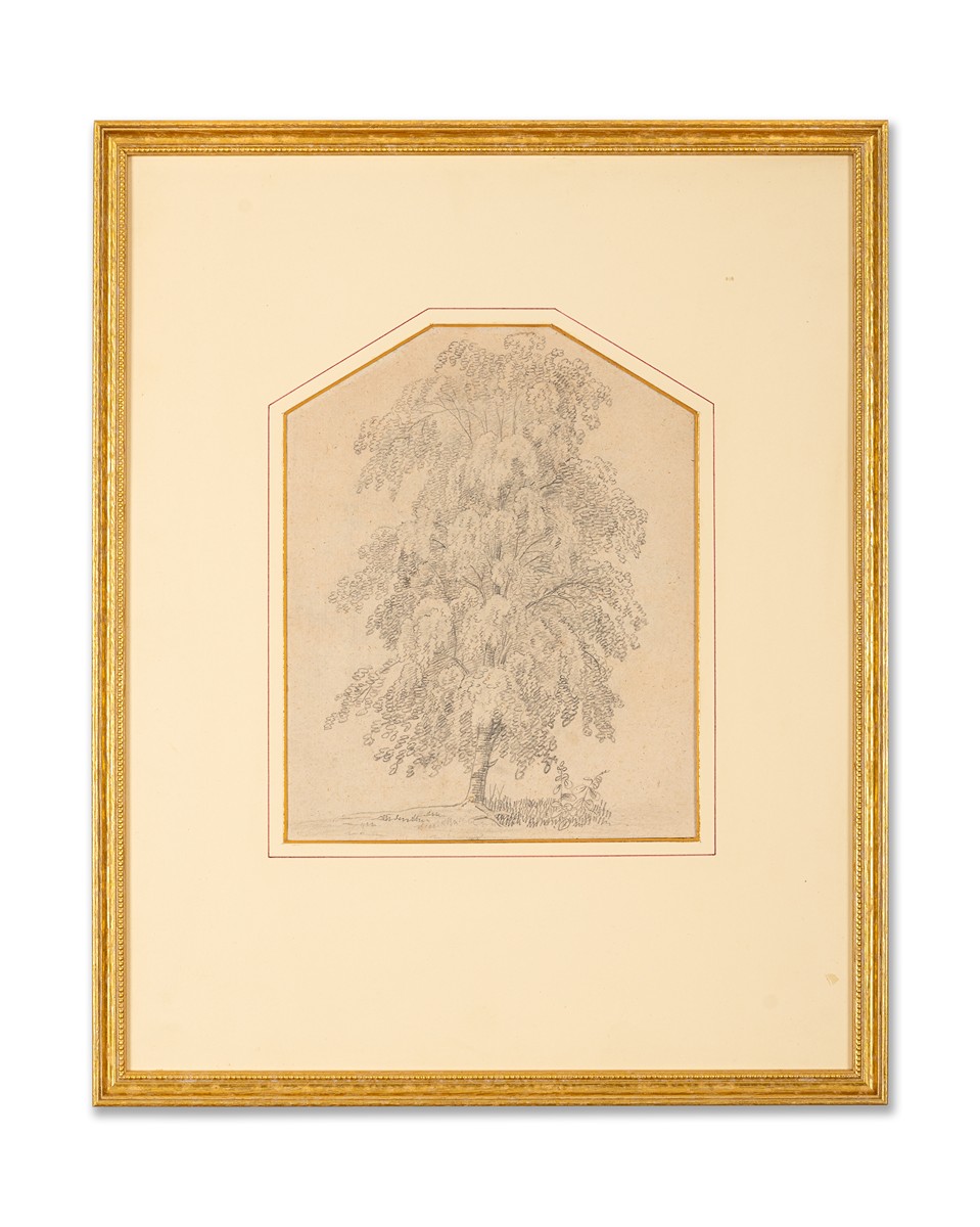 Antonín Mánes (1784 - 1843) - Strom v krajině