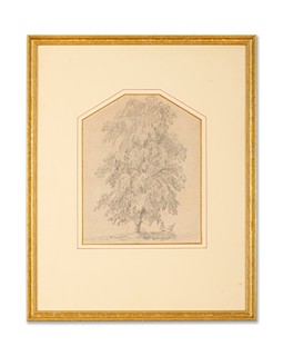Antonín Mánes (1784 - 1843) - Strom v krajině