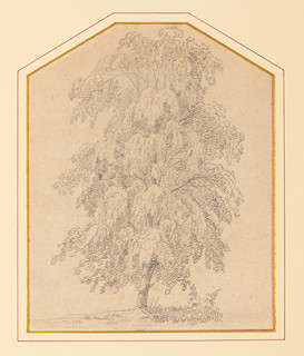 Antonín Mánes (1784 - 1843) - Strom v krajině