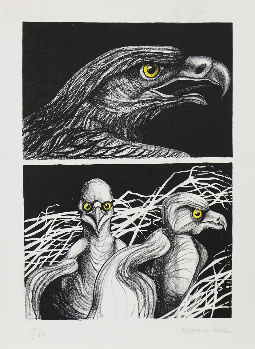 Federico Díaz (1971) - Dravci
