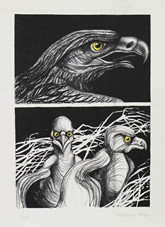 Federico Díaz (1971) - Dravci