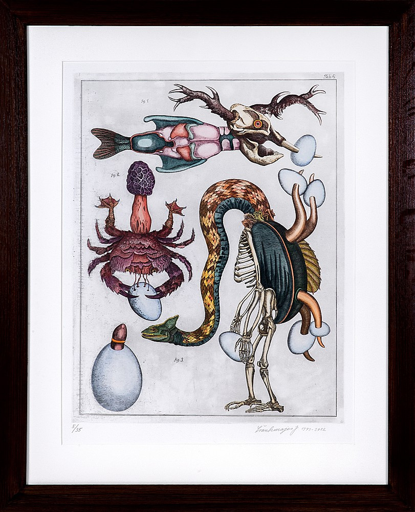 Jan Švankmajer 1934 - Přírodopis č. 6