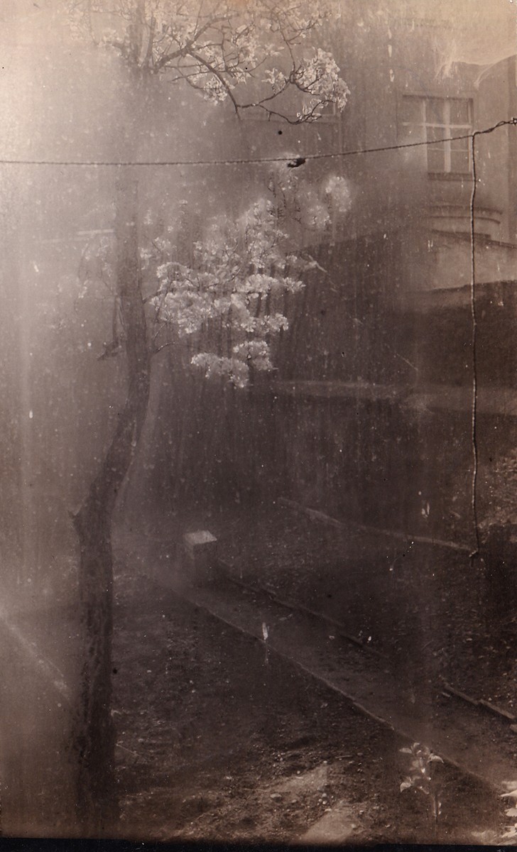 Josef Sudek 1896 - 1976 - Z cyklu Okno mého ateliéru