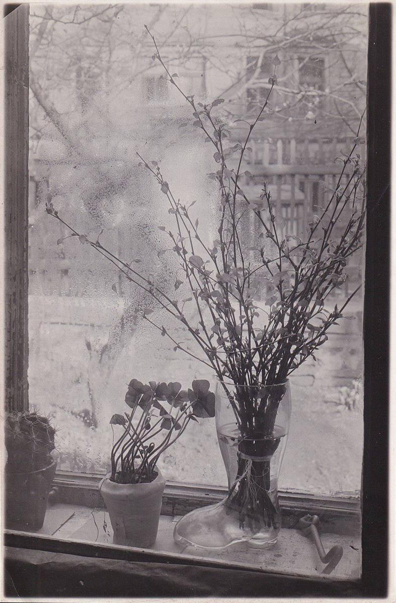 Josef Sudek 1896 - 1976 - Z cyklu Okno mého ateliéru