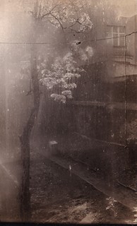 Josef Sudek 1896 - 1976 - Z cyklu Okno mého ateliéru