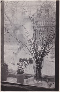 Josef Sudek 1896 - 1976 - Z cyklu Okno mého ateliéru
