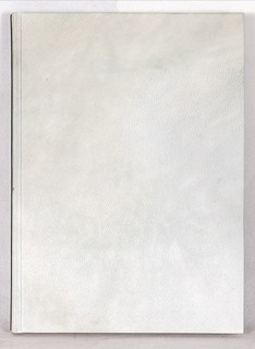 Item 111