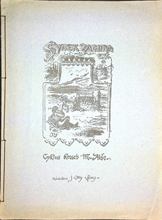 Mikoláš Aleš (1852 - 1913) -  Synek zachovalý