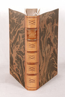 Item 33