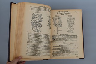 Mattioli Pietro Andrea/Mathioli Petr Ondřej (1501-1577) - Bibliofile "Herbář M.D.XCVI." - P. O. Mattioli, faksimilie