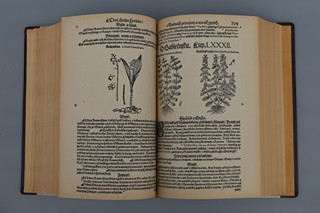 Mattioli Pietro Andrea/Mathioli Petr Ondřej (1501-1577) - Bibliofile "Herbář M.D.XCVI." - P. O. Mattioli, faksimilie