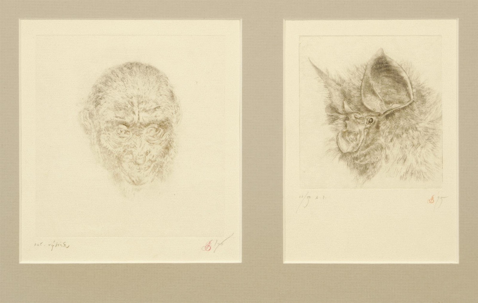 Běhounek Jiří (1929 - 2005) - Opice a netopýr