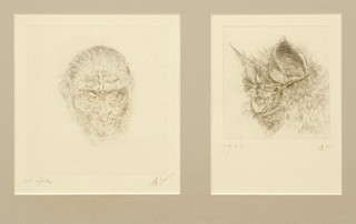 Běhounek Jiří (1929 - 2005) - Opice a netopýr