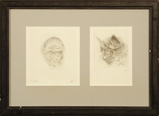 Běhounek Jiří (1929 - 2005) - Opice a netopýr