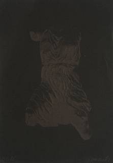 P. F. 1982, 1983