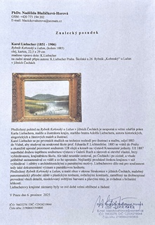 Karel Liebscher (1851 - 1906) - Rybník Kořenský u Lažan v jižních Čechách