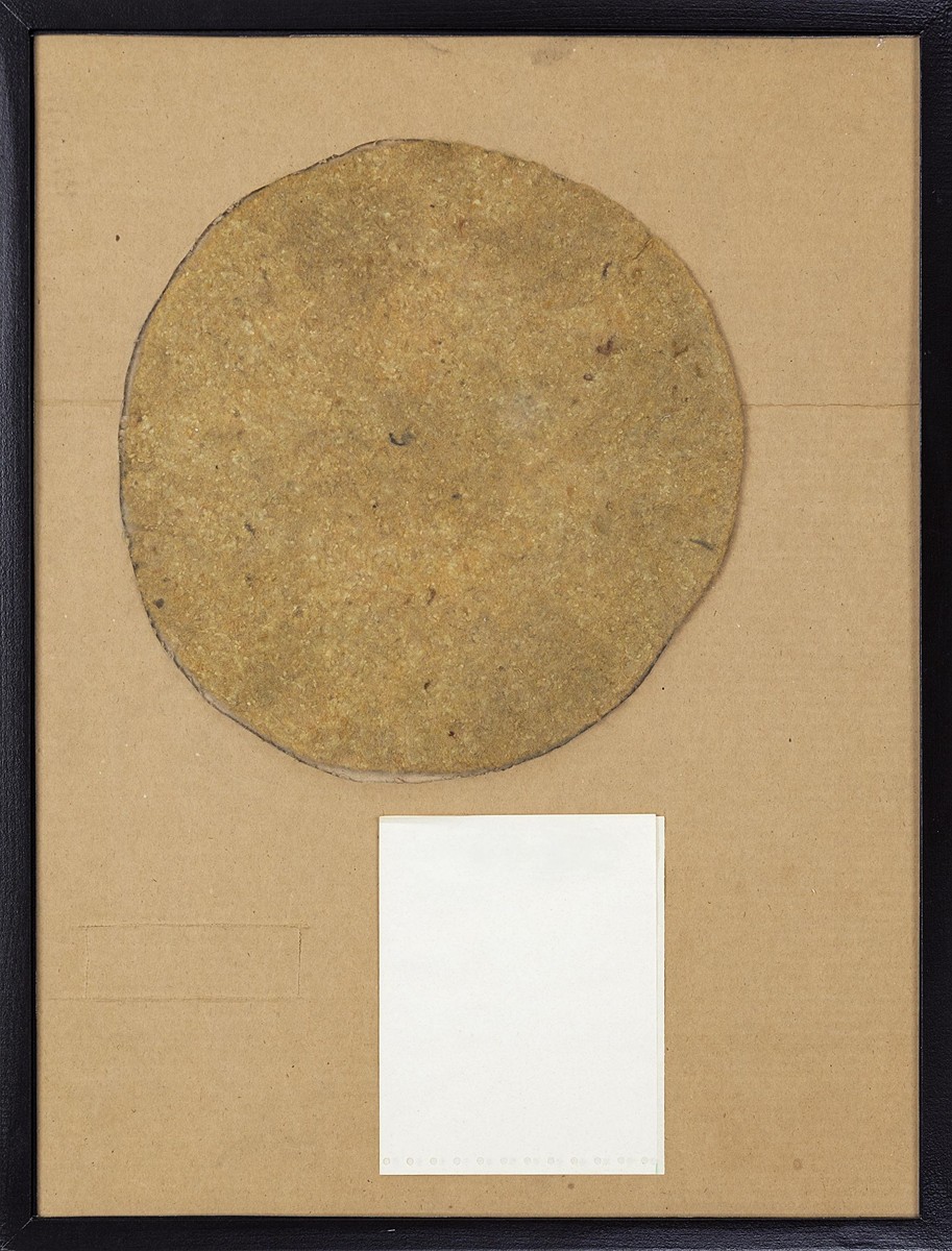 Untitled (Chrysanthemum)
