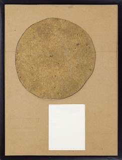 Untitled (Chrysanthemum)