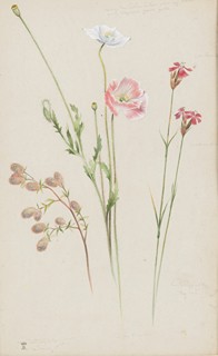 Mánes Josef 1820–1871 - Bez názvu