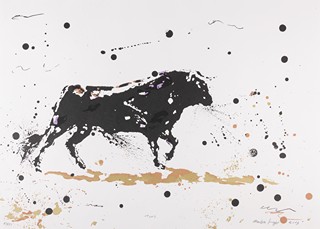 Martin Krajc (1984) - Toro 2013