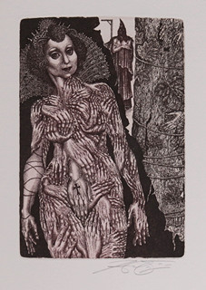 Hana Čápová (1956-) - Fénixovo hnízdo