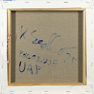Klára Sedlo (1993-) - Pozoruje UAP