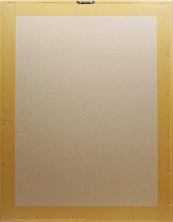 Divoké kočky - velký formát