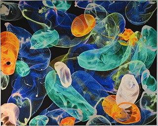 Jiří Georg Dokoupil (1954) - Život