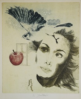 Daniela Havlíčková (1946-1999) - Domov