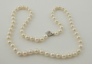 NÁHRDELNÍK ZE SLADKOVODNÍCH PEREL