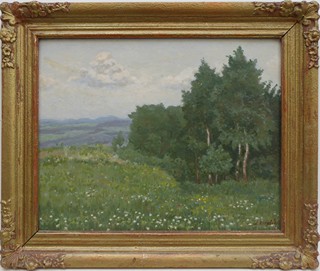 JAROSLAV KREPČÍK (1880-1959) - KVETOUCÍ LOUKA U REMÍZKU