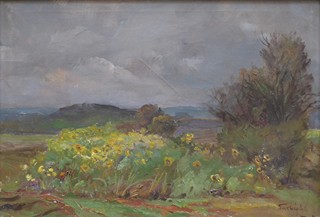 BOHUSLAV SUCHÝ (1907-1967) - SLUNEČNICE