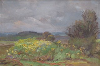 BOHUSLAV SUCHÝ (1907-1967) - SLUNEČNICE