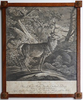 Johann Elias Ridinger (1698 - 1767) - JELEN V TÜBINGENSKÉM LESE
